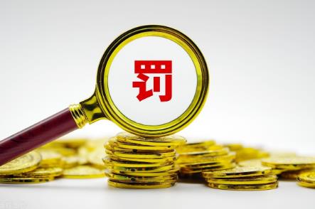 罚金刑执行最新规定标准2024年