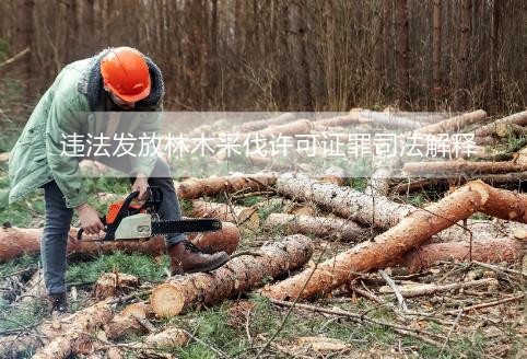 违法发放林木采伐许可证罪司法解释2025全文