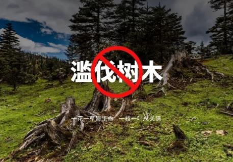 滥伐林木罪司法解释最新2025